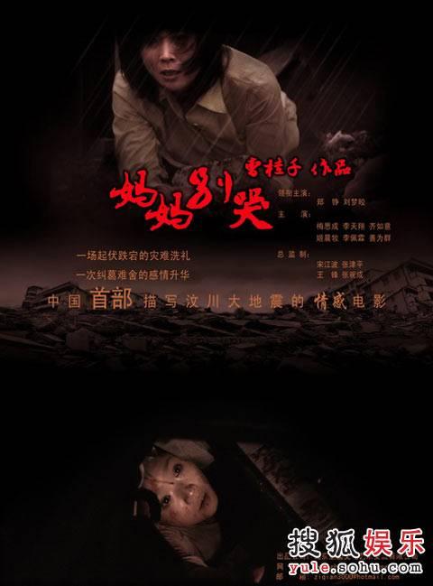 仿制假摩尔多瓦护照模板